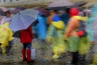 169 - COLORED RAIN - TABORDA JOAO - portugal